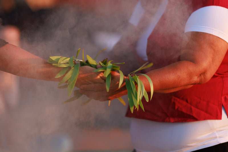 Foreshore Beach Aboriginal Walking Tour