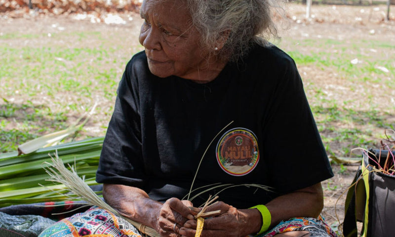 Half Day Kakadu Community Cultural Activities and Art Gallery Experience