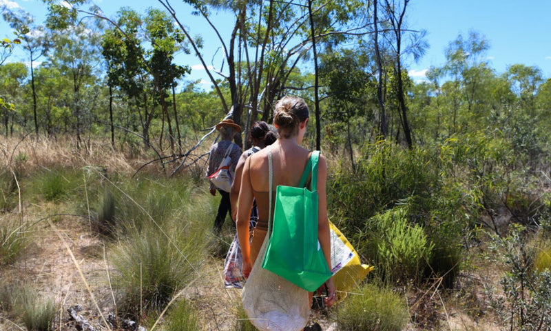 Half Day Kakadu Community Cultural Activities and Art Gallery Experience