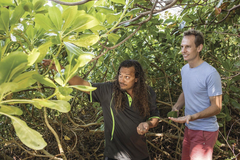 Cultural Beach, Mangroves and Mudflat Tour - Standard