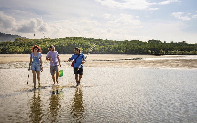 Cultural Beach, Mangroves and Mudflat Tour - Standard