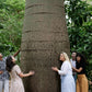 Cultural Tour of Adelaide Botanic Garden