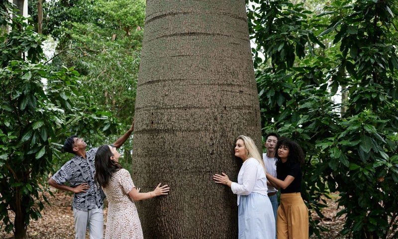 Cultural Tour of Adelaide Botanic Garden