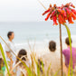Whale Watching Cultural Walk, Minjerribah