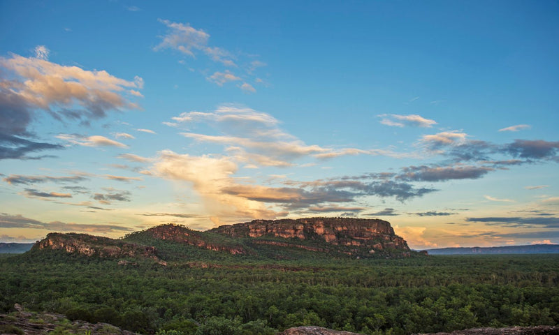 Kakadu National Park Private Rock Art tour