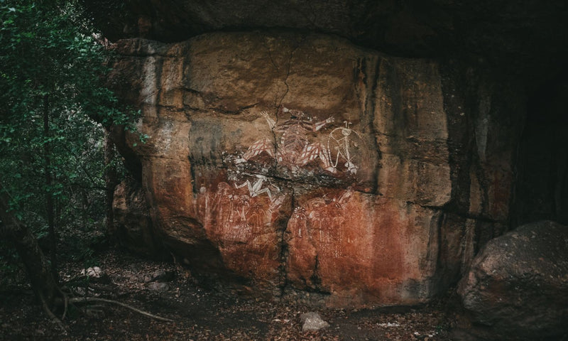 Kakadu National Park Private Rock Art tour