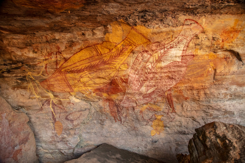 Mikinj Valley Arnhem Land Day Tour