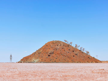 Lake Ballard Day Tour