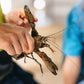 Djilgi Dreaming Yabbie Farm Tour