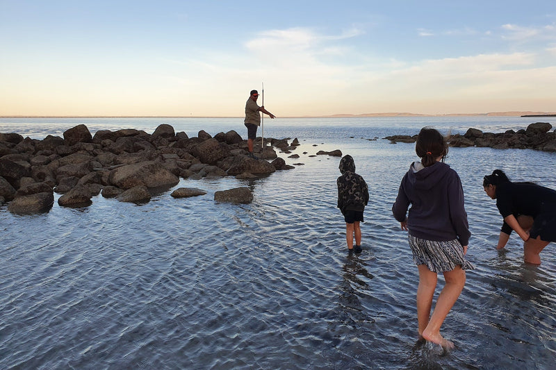 Bush Tucker Tour of Hearson Cove