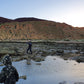 Bush Tucker Tour of Hearson Cove
