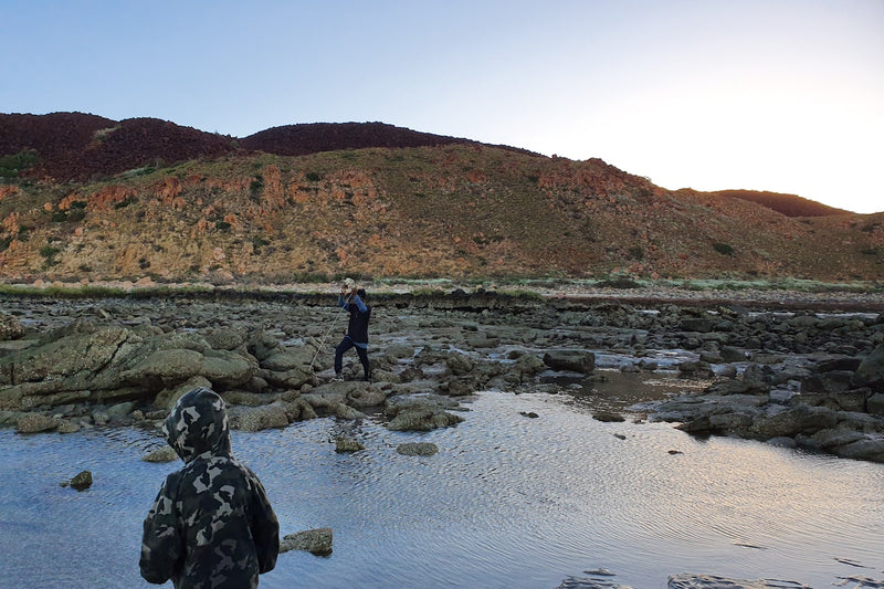 Bush Tucker Tour of Hearson Cove