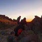 Bush Tucker Tour of Hearson Cove