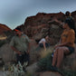 Bush Tucker Tour of Hearson Cove