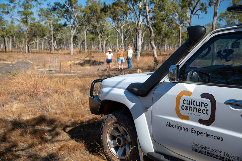 4WD Aboriginal Rock Art and Ranger Day Tour