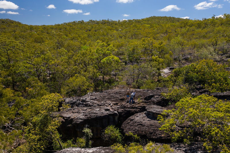 Half Day Aboriginal Rock Art Experience