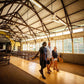 Tiwi By Design Day Tour 2024