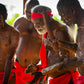 Tiwi By Design Day Tour 2024