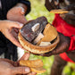 Tiwi By Design Day Tour 2024