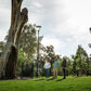 Birrarung Wilam (River Camp) - Aboriginal Walking Tour