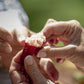 Mandoon Estate Bush Tucker Tasting