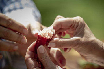 Mandoon Estate Bush Tucker Tasting