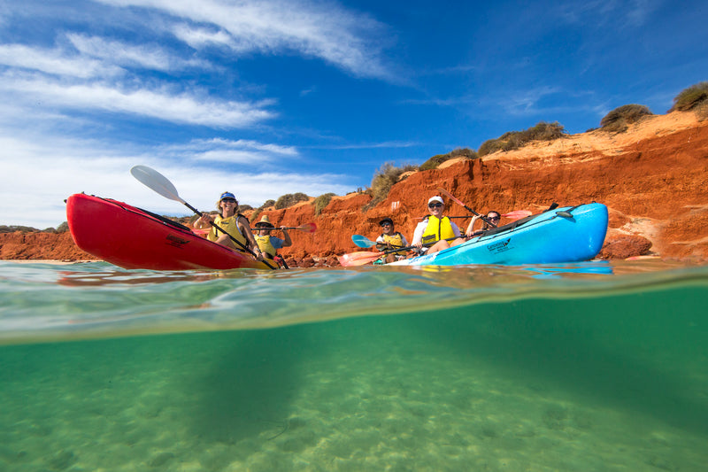 Kayak and Wildlife Adventure