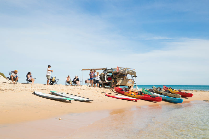 Kayak and Wildlife Adventure