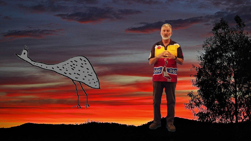 Online Walk on Country with Wiradjuri man, Mark Saddler