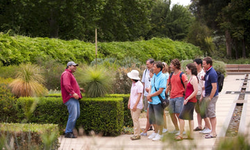 Adelaide Botanic Gardens Native Plant Trail