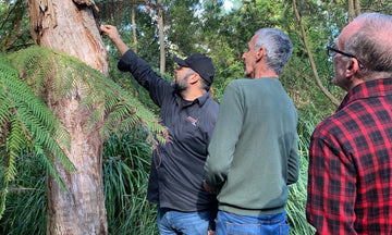 Adelaide Botanic Gardens Native Plant Trail