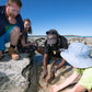Borrgoron Coast to Creek Tour