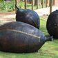 Waringarri Art Centre Tour