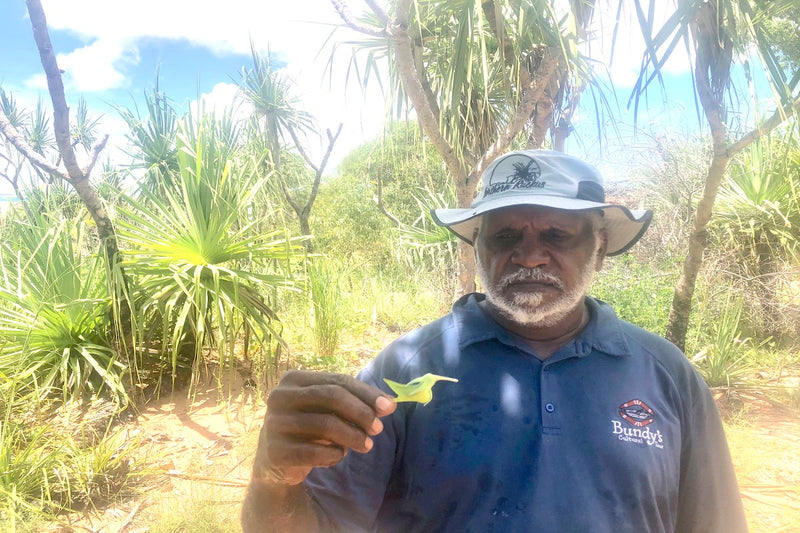 Bush Tucker Walk with Bundy