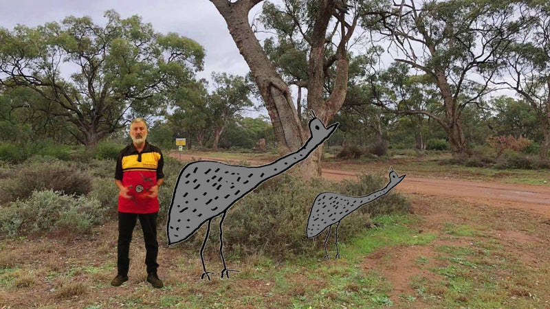 Online Walk on Country with Wiradjuri man, Mark Saddler