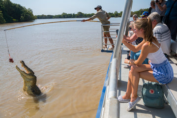 Spectacular Jumping Crocodile Cruise