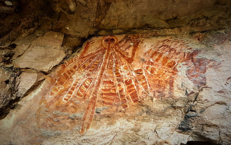 Yingana Arnhem Land Day Tour