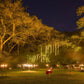 Aboriginal Dining Experience