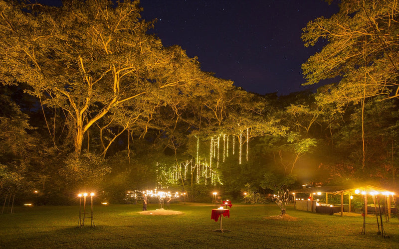 Aboriginal Dining Experience