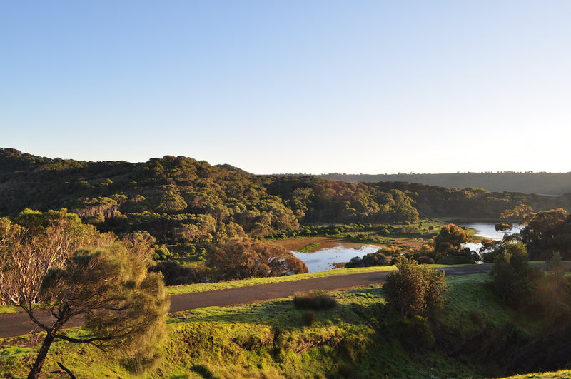 Indigenous Culture and Nature Tour - Tower Hill