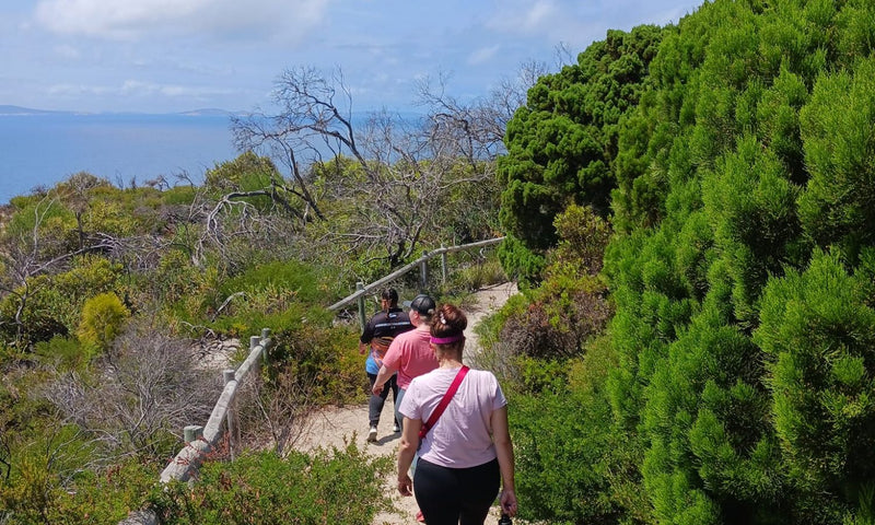 Walk on Country at Taananeditj (Rotary Lookout)