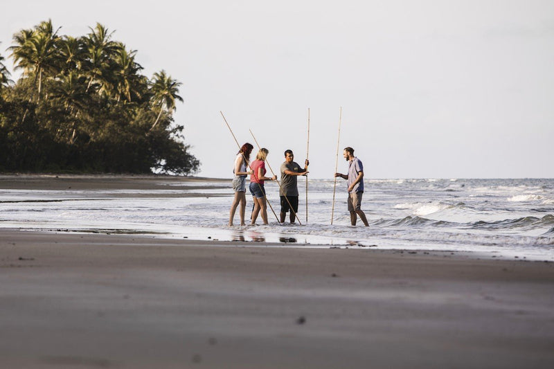 Ngana Julaymba Dungay: We all Going Daintree. Half Day Tour