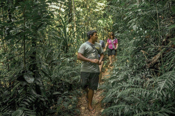 Ngana Julaymba Dungay: We all Going Daintree. Half Day Tour