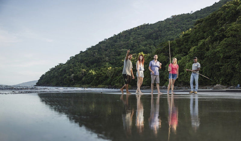 Daintree Full Day Private Charter