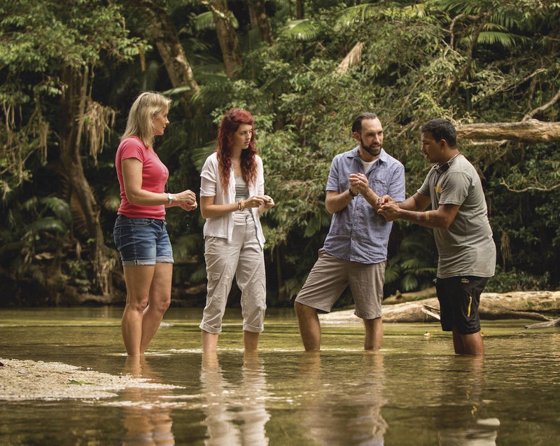 Ngana Kulkinga Dungay: We All Going Cape Tribulation - Half Day