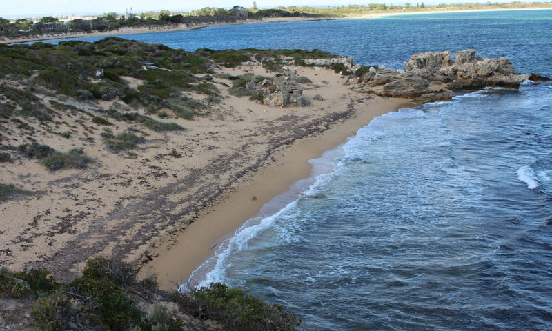 Boya Kaarla Point Peron Cultural Tour