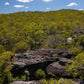 Half Day Aboriginal Rock Art Experience