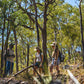 Half Day Aboriginal Rock Art Experience