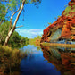4WD Tag Along Tour