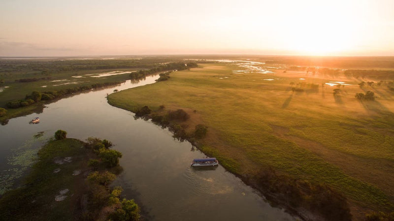 1.5 hour Yellow Water Cruise